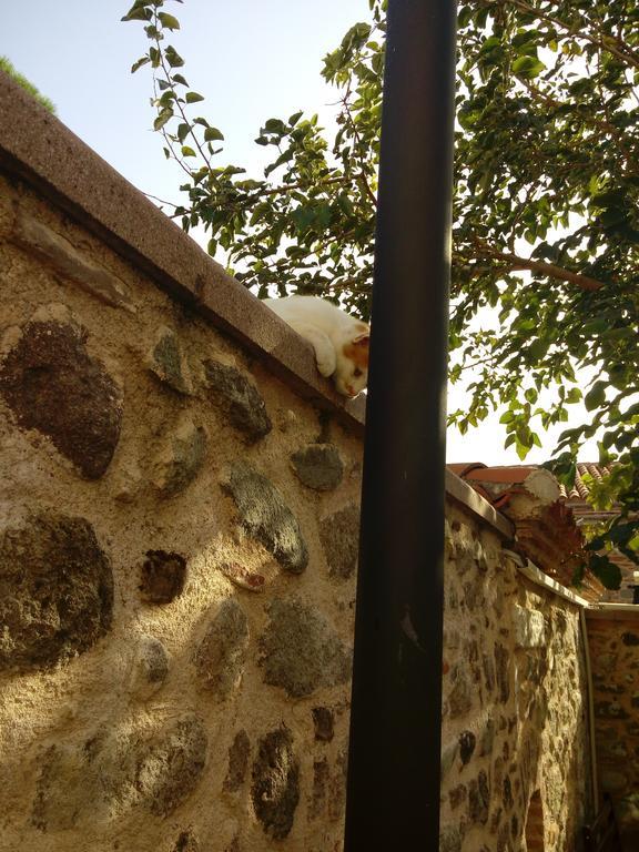 Aristonicus Boutique Hotel Bergama Exterior foto